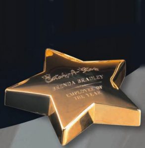 Brass Star Paperweight