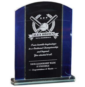 Economy Glass Black and Blue Glass Standing Award