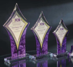 Purple/Clear Diamond Acrylic Trophy