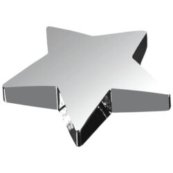 Silver Metal Star Paperweight - 4"