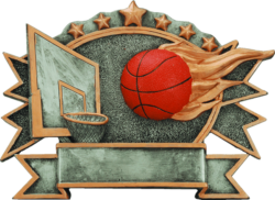 Basketball "SilverStone 3-D Color Shields"