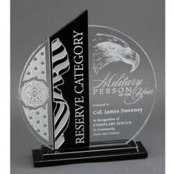 Black Accent Circular Clear Crystal (CC-YX665A)