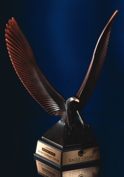 Bronze Tone Contemporary Eagle Landing