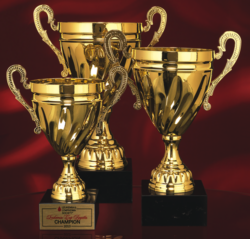 GOLD TWIST TROPHY CUP ON BASE