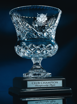 Trophy Cup Crystal Vase - 14 inches