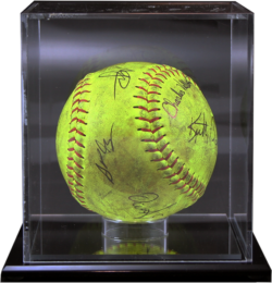 Softball Case -