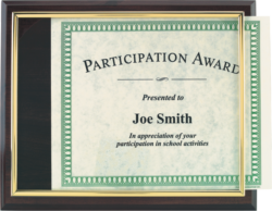 Slide-In Certificate Plaque - 10.5" X 13"