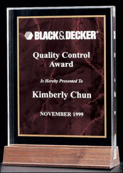 Acrylic Award with a Ruby Marble Center (A4157RU)