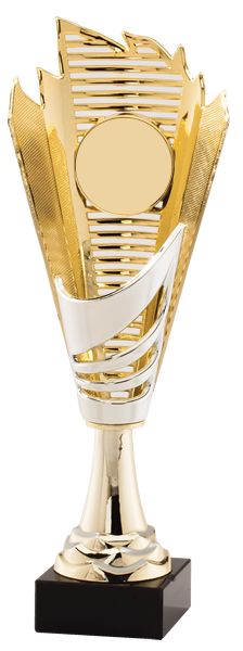 Silver and Gold Contemporary Insert Cup - 13 inches