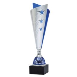 Silver and Blue Star Cup